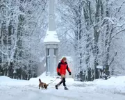 Hundreds of Scottish Schools Shut as Amber Snow Warning Disrupts UK