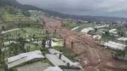 Java Landslide Tragedy: 11 Dead, 79 Missing as Rescue Efforts Continue