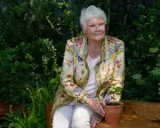 Judi Dench Champions London's Green Spaces as Over 50 Parks Face Development Threat