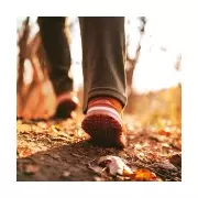 Just 5 Minutes Daily Walk Can Cut Early Death Risk by 10%, Study Finds