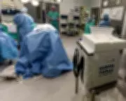 Kidney Donation Debate: Altruism vs. Markets in UK Healthcare