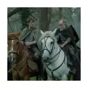 Knight of the Seven Kingdoms Prosthetic Penis: Heavy 10-Inch Prop Needed Reinforcement