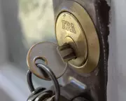 Labour Leader Criticises Greens' Housing Policy as Brighton Council Implements 'Buy the Supply'