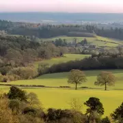 London's 465 Bus: A Red Route Through Surrey's Stunning Countryside