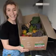 London's New HeroGo Grocery Box Cuts Bills by 25% and Fights Food Waste