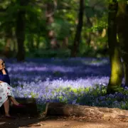 London's Secret Bluebell Wood: Wanstead Park's Spring Spectacle