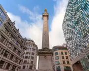London's Urban Geology: Ancient Fossils Hidden in City Architecture