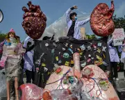 Microplastics Health Debate: Scientists Urged to Unite in 'Ozone Moment'