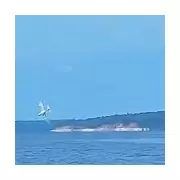 Miracle Survival: Pilot and Passenger Escape Light Aircraft Crash in Amazon River