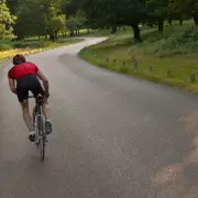 New Traffic Lights for Cyclists in Regent's Park After Pedestrian Death