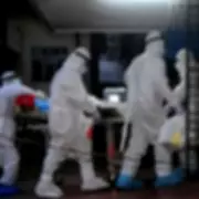 Nipah Virus Outbreak in India: UK Experts Assess Global Lockdown Risk