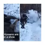 North Korean Soldier Blown Up by Landmine in Ukraine on Sled