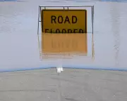 NSW Flood Crisis: Sydney Evacuations as East Coast Storms Claim Life