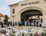 Over 60 Australian Sports Stars Demand Federal Royal Commission into Bondi Attack