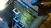 Police Video Shows Cable Thief Arrested Emerging from Underground in Birmingham