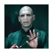 Ralph Fiennes' Red Carpet Slip Sparks Cillian Murphy Voldemort Casting Rumours