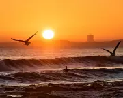 Record Ocean Heat in 2025 Fuels Climate Disasters, Scientists Warn