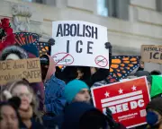 Renee Good Shooting Ignites 'Abolish ICE' Movement: A Timeline of Resistance