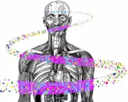 Scientific Scrutiny: 20 Microplastics Studies Questioned Over Measurement Methods