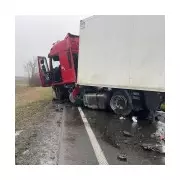 Seven PAOK Fans Killed in Romanian Highway Crash En Route to Europa League Match