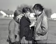 Silence and Cry Review: Jancsó's Hypnotic 1968 Ballet of Hungarian Trauma