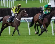 Sir Gino's Pelvic Injury Casts Shadow Over Cheltenham's International Hurdle