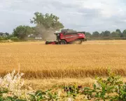 Small Farms Prioritised for Nature Funding in UK's Sustainable Farming Shake-Up