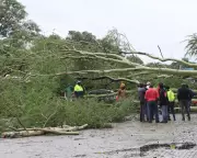 South Africa and Mozambique Floods: Kruger Park Evacuated as Torrential Rain Continues