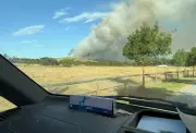 South Australia Bushfire: Uncontrolled Blaze Near Adelaide Destroys Homes, Forces Evacuations
