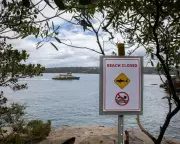 Sydney Harbour Shark Attack: 12-Year-Old Victim's Family Faces 'Worst Possible Outcome'