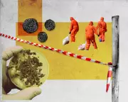 Sydney's $32bn Sewage Overhaul: Ending 'Poo Balls' and Ocean Outfalls