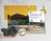 Sydney's Sewage Crisis: Up to 12,000 Businesses Suspected of Illegal Waste Discharge