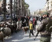 Syria Announces Ceasefire in Aleppo After Clashes Displace 140,000