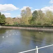 Teenager Hospitalised After Stomach Slashing in Carshalton Park Attack