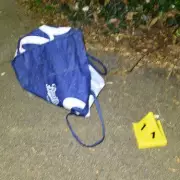 Third Sibling in 'Extraordinary' London Foundling Case Set for Adoption