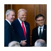 Top US Ally Backs Starmer on Greenland, Contradicting Trump's Aggressive Stance