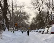 Toronto's Historic Snowfall: City Digs Out After Record Storm