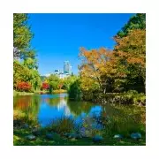 Travel Expert's Top 3 Destinations for 2026: Italy, Japan & Madagascar