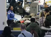TSA's 2025 List: Fake Bombs & Hidden Turtles Among Bizarre Airport Confiscations