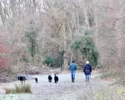 UK Braces for 40cm Snow and Ice as Arctic Blast Hits in New Year Cold Snap