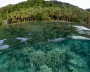 UK Government Criticised for Delaying Action on Biodiversity Collapse