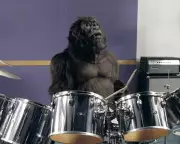 UK Junk Food Ad Ban: Cadbury's Gorilla Ad Cleared in Watershed Loophole