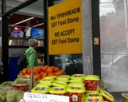 US Withholds Family Aid from Five Democratic States Over Fraud Concerns