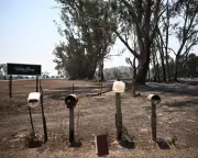 Victoria Bushfires: Threat Eases as Damage Nears 500 Structures