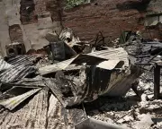 Victoria's Bushfire Toll Rises: Homes Lost, Industry Devastated