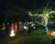 Wassailing Traditions: Somerset's Pagan Apple Tree Rituals