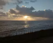 Why Your New Year's Resolutions Fail: Wait Until Spring, Says Expert