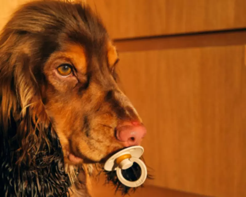 24 Photography Exhibition 2026: A 24-Year Time-Shifting Narrative in London