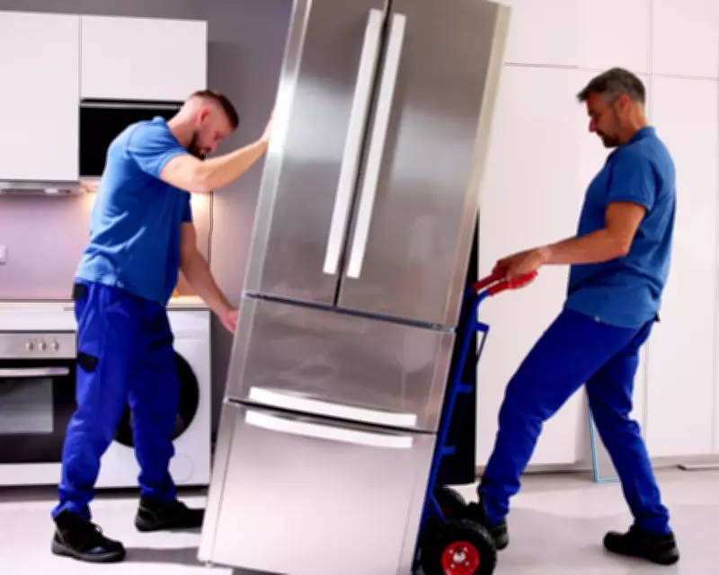 A Miracle Delivery: The Day My Long-Awaited Fridge Finally Arrived