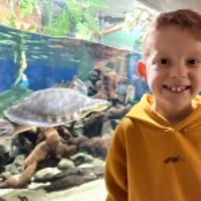 A Mother's Heartbreak: How Slow Speech Revealed a Fatal Brain Tumor in Her 8-Year-Old Son